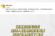 娱乐圈吃瓜爆料文案模版,明星背后的那些事儿